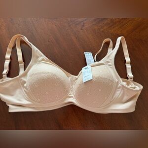 Wacoal Lace Detail Bra in Beige